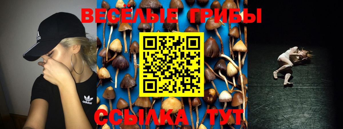 Галлюциногенные грибы Psilocybe Кинель